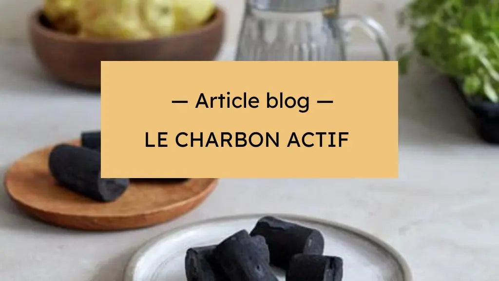 Comment fonctionne le charbon actif filtrant ?