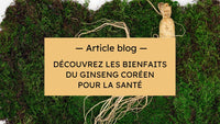 Ginseng-Coréen-Votre-Allié-pour-Renforcer-Votre-Immunité-et-Retrouver-de-l-Énergie Hersée Paris 9