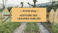 Blog Hersée Paris 9