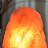 Lampe en Cristal de Sel d'Himalaya de 2 à 3 kg Zen Arome Hersée Paris 9
