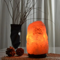 Lampe en Cristal de Sel d'Himalaya de 2 à 3 kg Zen Arome Hersée Paris 9