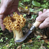 Coffret cadeau Couteau Champignons et Etui - Opinel Opinel Hersée Paris 9