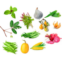 Coffret 12 sachets graines légumes insolites - Radis et Capucine