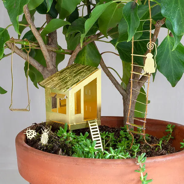 Kit de culture de bonsaï en cèdre du Japon Faites pousser votre