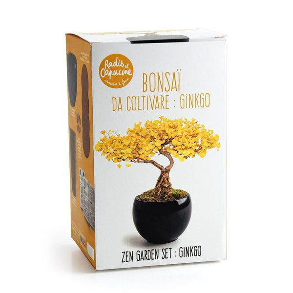 Kit de culture Bonsaï Ginkgo - A faire pousser avec pot Radis et Capucine Hersée Paris 9