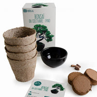 Bonsai growing kit - To grow with pot