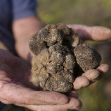 Provence summer truffle terrine 100g