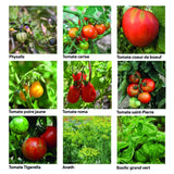 Coffret 40 sachets de graines - Une année au jardin - Radis et Capucine Radis et Capucine Hersée Paris 9