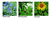 Coffret 40 sachets de graines - Une année au jardin - Radis et Capucine Radis et Capucine Hersée Paris 9