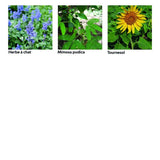 Coffret 40 sachets de graines - Une année au jardin - Radis et Capucine Radis et Capucine Hersée Paris 9