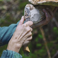 Coffret couteau champignons inox et brosse + étui - Opinel Opinel Hersée Paris 9