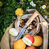 Couteau de poche inox Virobloc N°6 N°7 N°8 N°9 - Opinel Opinel Hersée Paris 9