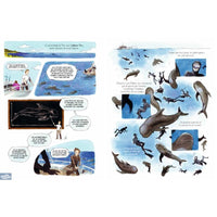 Le Théorème du Vaquita - Hugo Clément - Fayard Graffik Fayard Graffik Hersée Paris 9