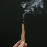 Bâton de bois à brûler - Palo Santo "Bois sacré" Hersée Hersée Paris 9
