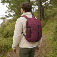 Sac à dos Refugio Daypack 26L - Patagonia Patagonia Hersée Paris 9